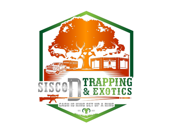 Sisco D Trapping & Exotics